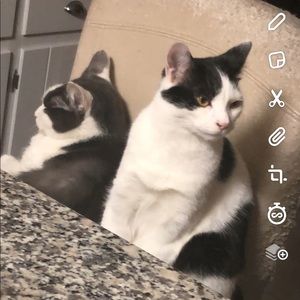 Meet your Posher, Debbie